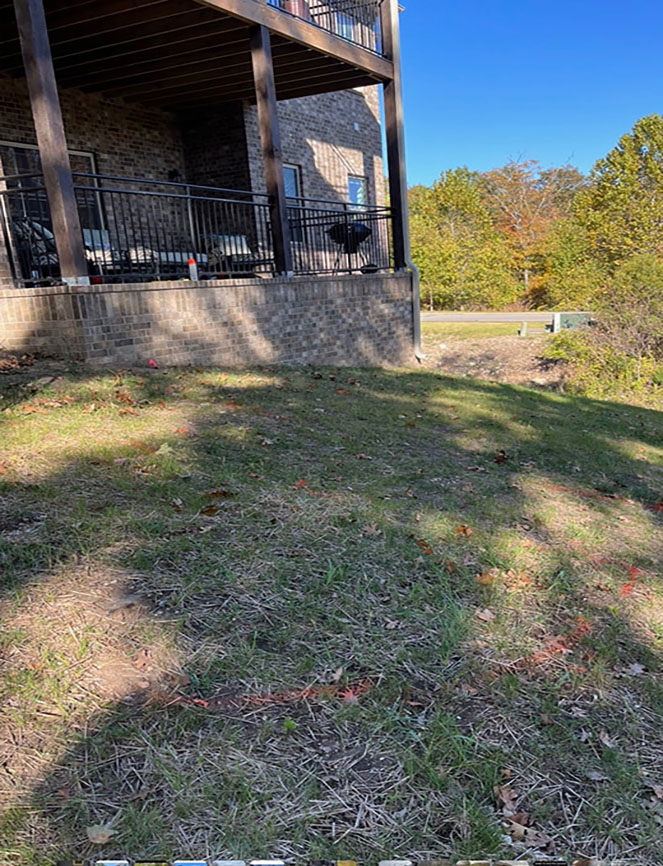 Yard Area Before